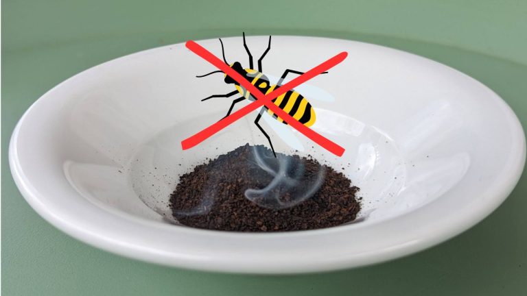 Éloigner les guêpes avec le truc de la fumée de café